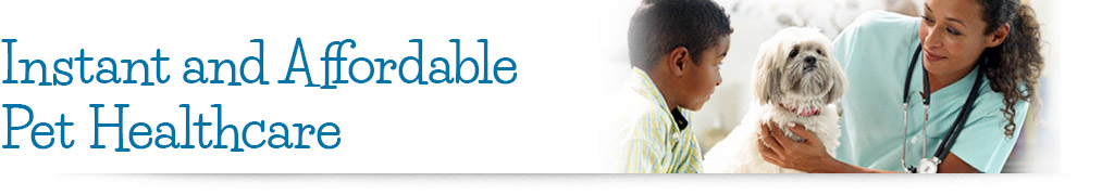 Individual Programs United Pet Care Pet Insurance