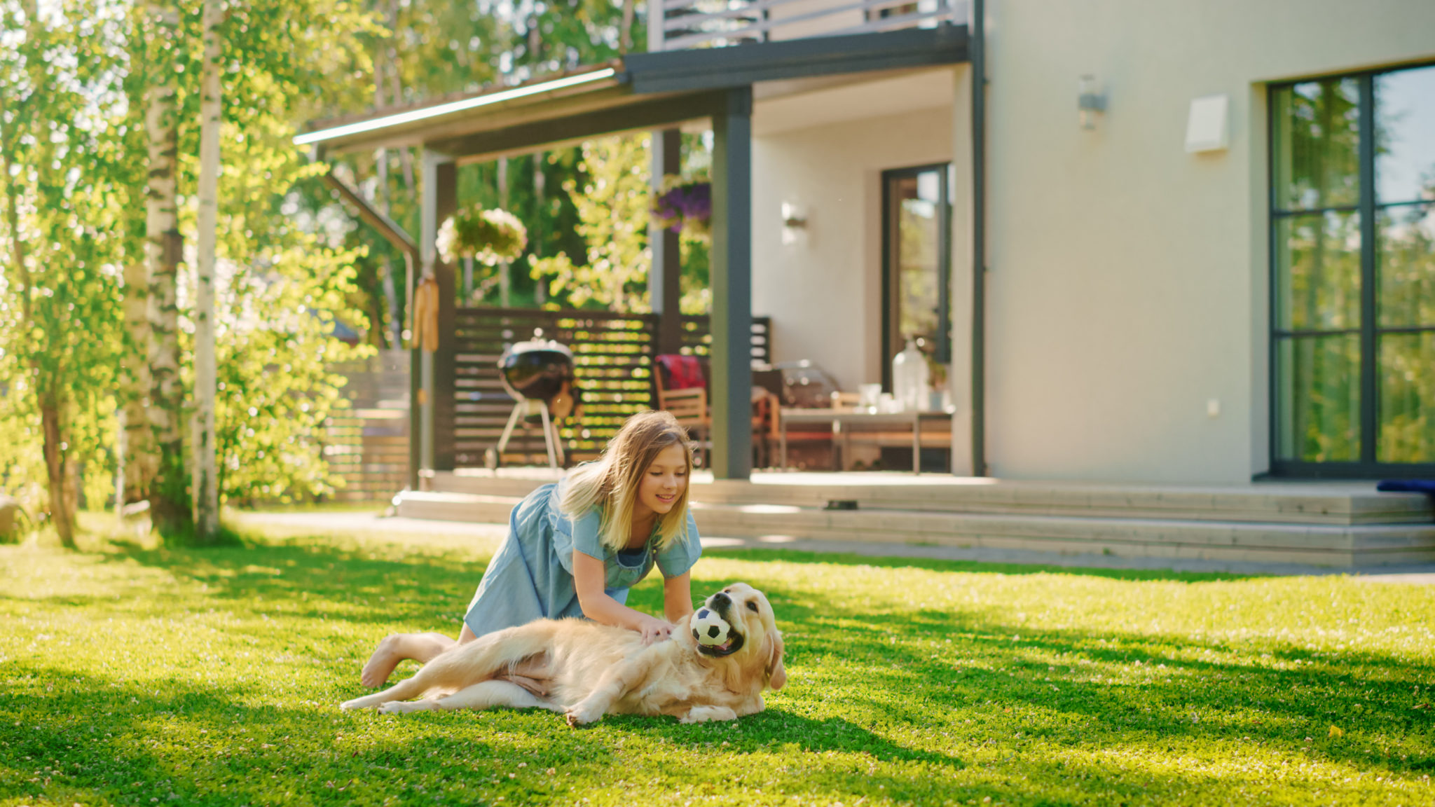 Members United Pet Care Pet Insurance Alternative