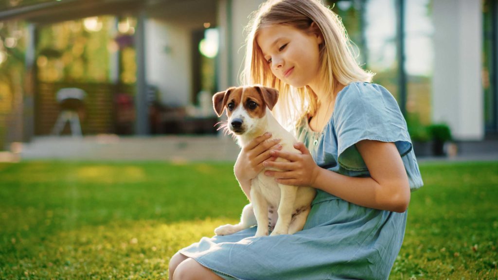 Promotions United Pet Care Pet Insurance Alternative