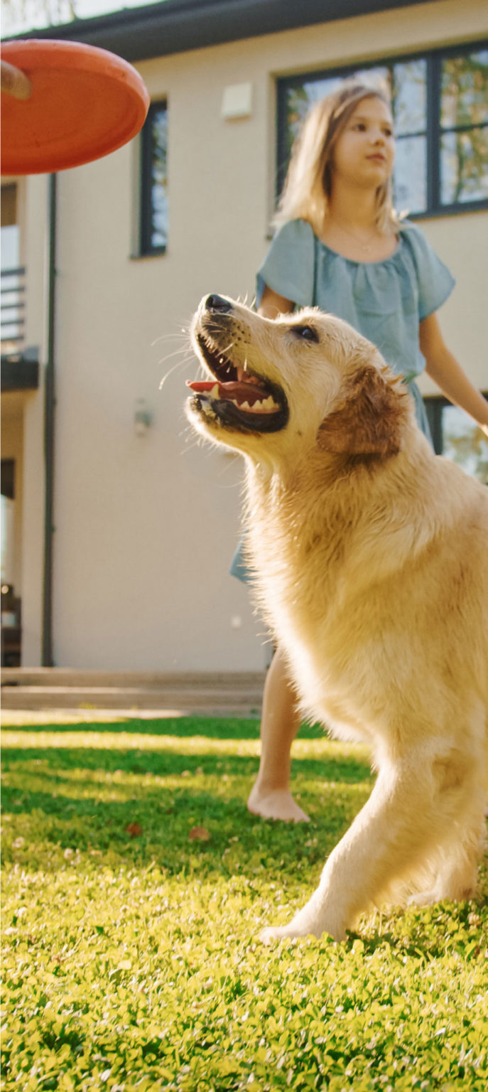 Pet Care Discount Program Pet Healthcare Savings United Pet Care