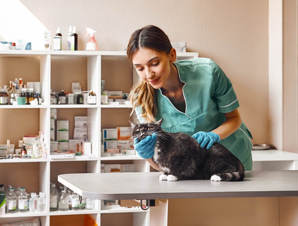 About Our Pet Healthcare Plans United Pet Care