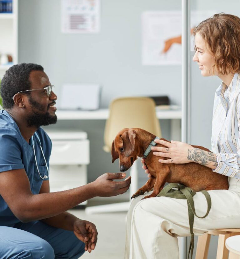 How to a UPC Pet Savings Partner United Pet Care