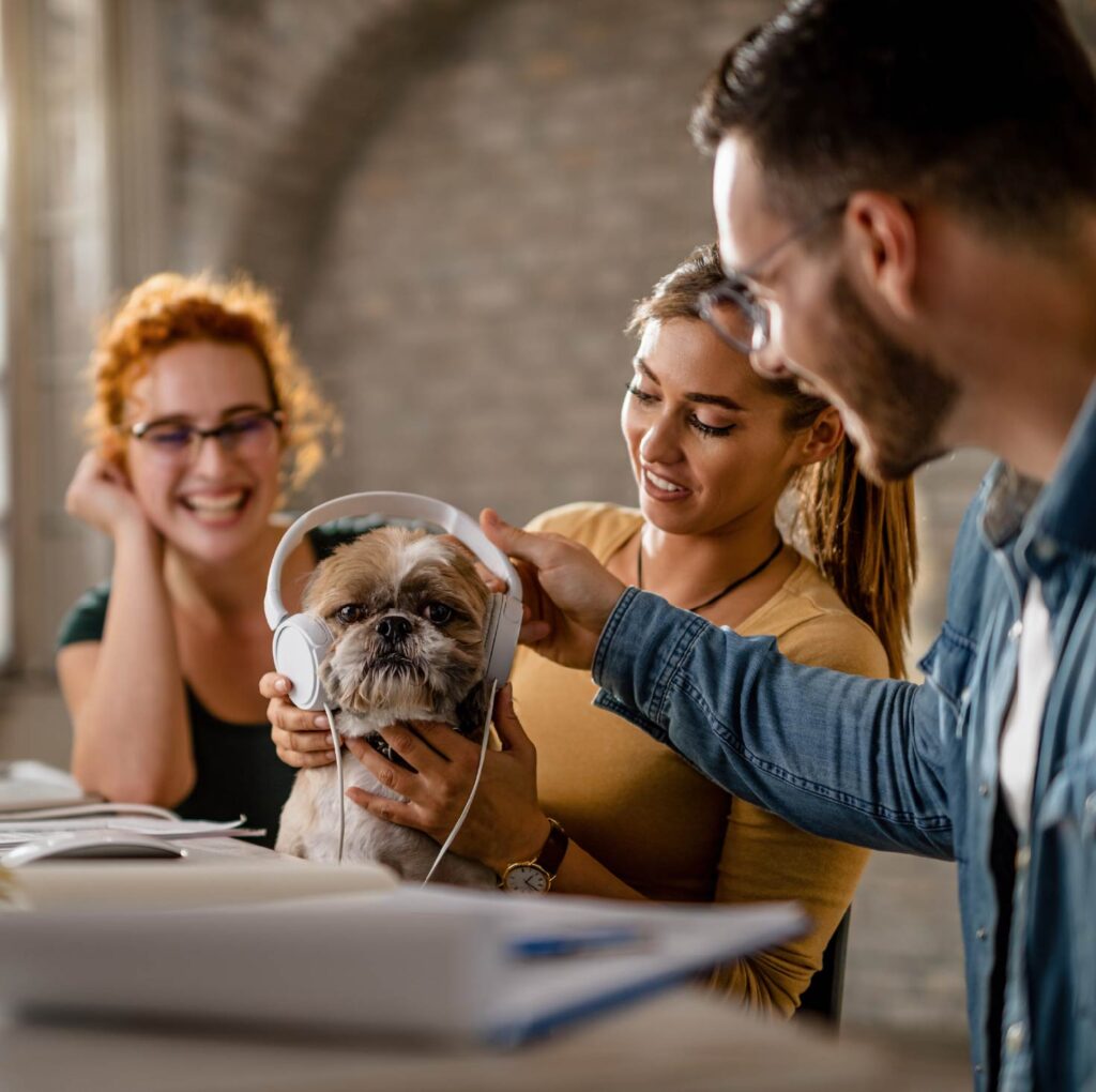 How We Offer Employee Pet Benefits United Pet Care