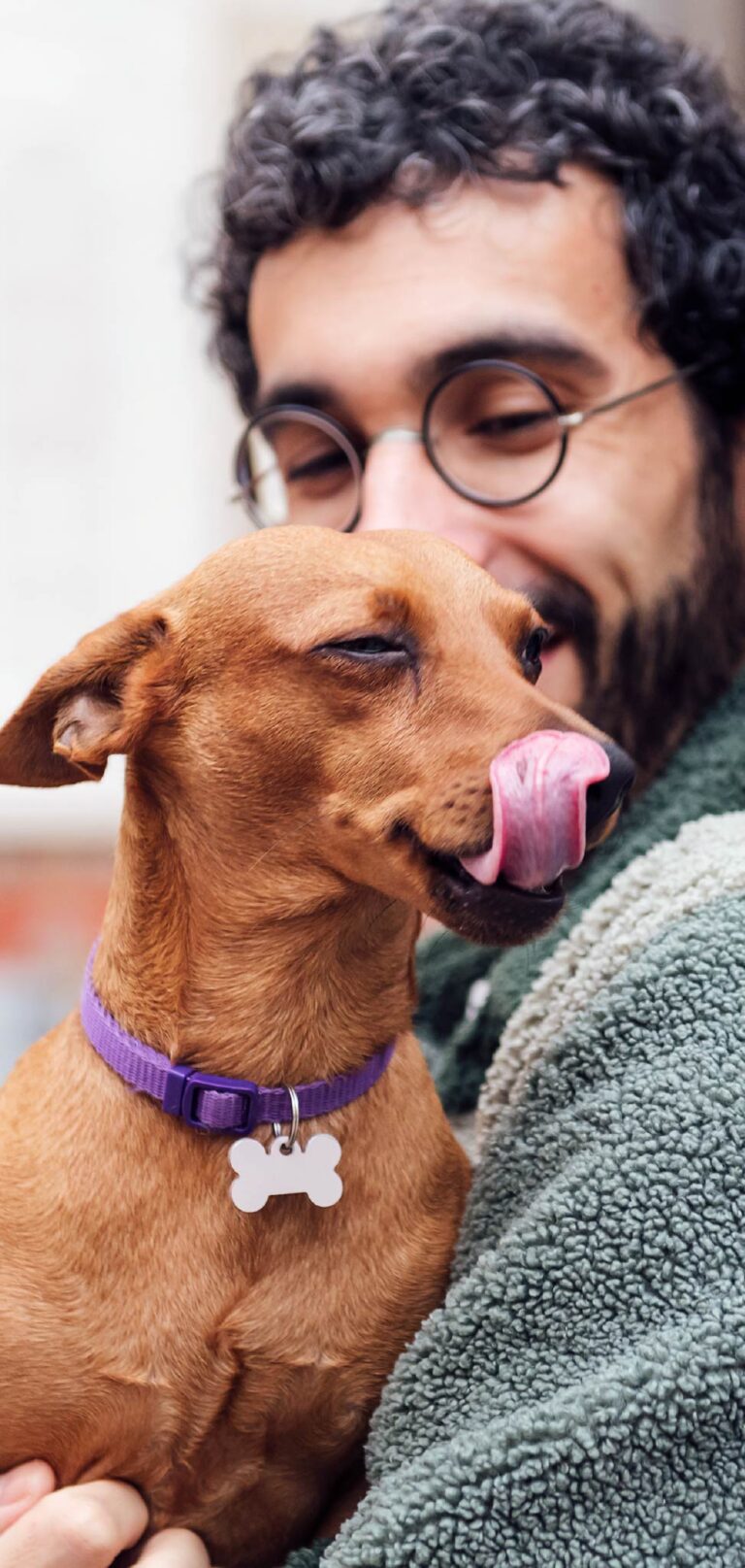 pet-care-discount-program-pet-healthcare-savings-united-pet-care