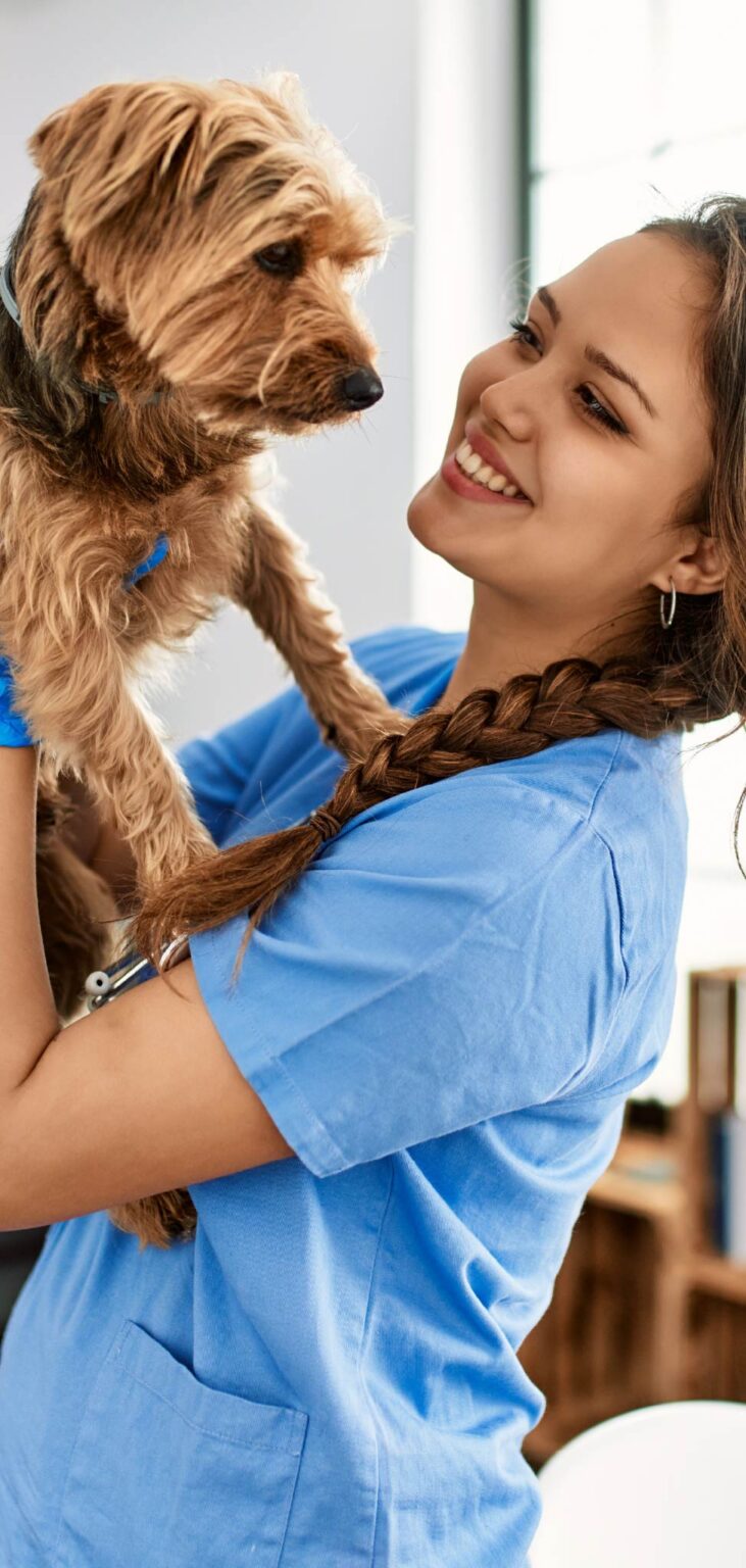 Pet Care Discount Program Pet Healthcare Savings United Pet Care
