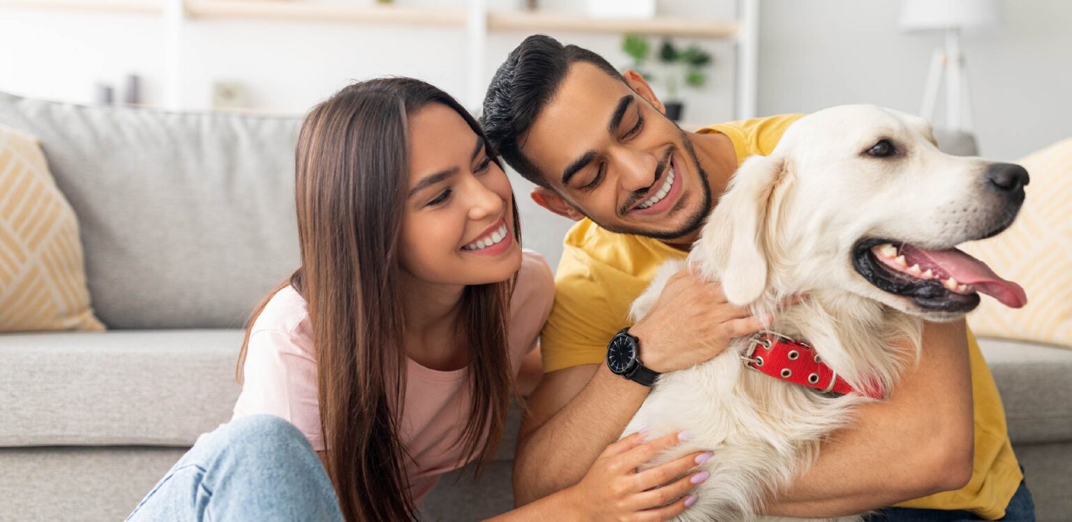 Getting Discount Vet Care United Pet Care