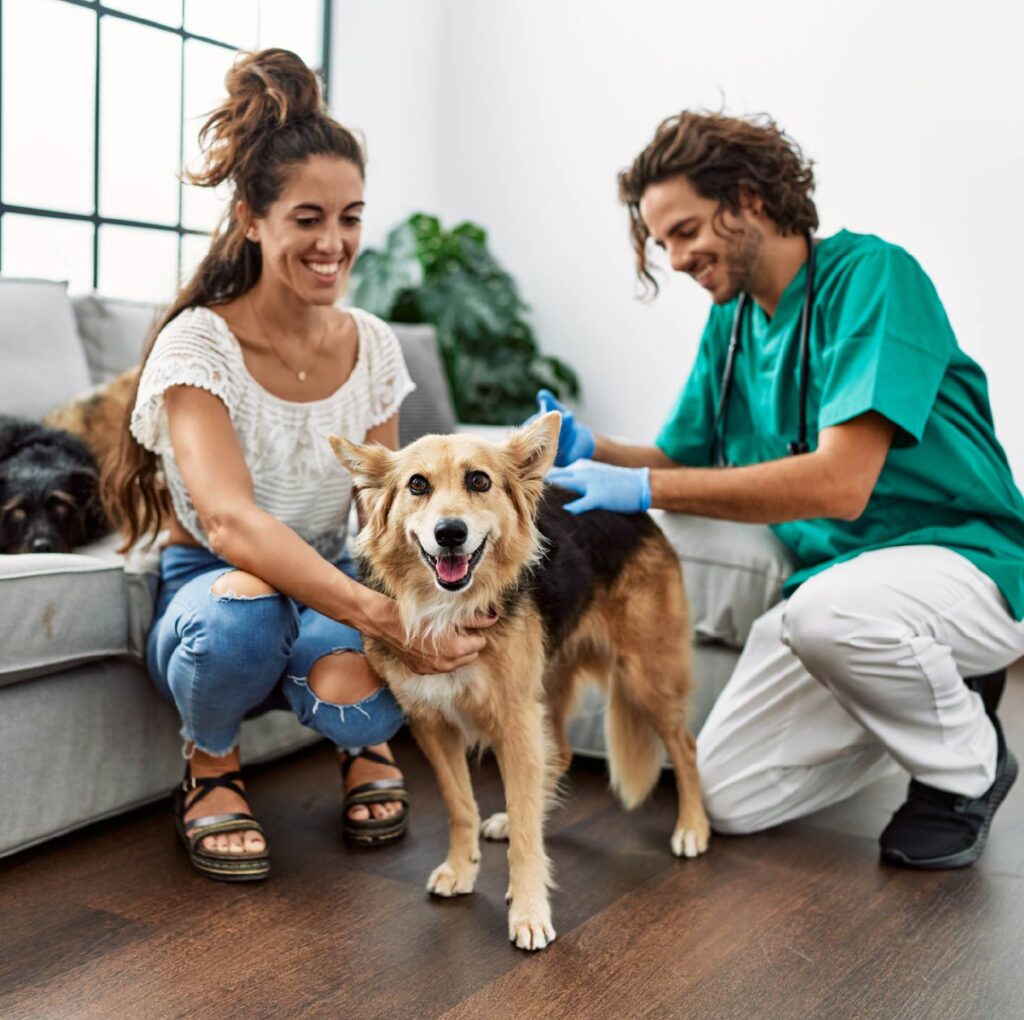 How to a UPC Pet Savings Partner United Pet Care